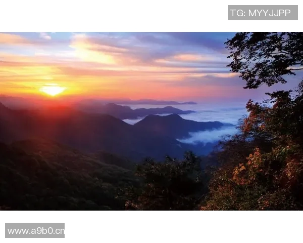 王丽的攀岩人生：在高峰与深渊之间的深度对话与心灵探索