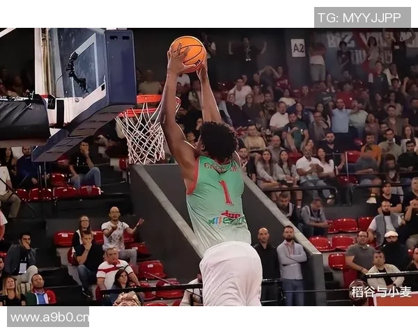 火箭队球员泰勒介绍及其赛场表现解析